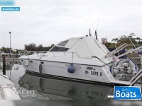 Vizianello Vizianello 38 Sport