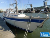 Malo 39 - SOLD