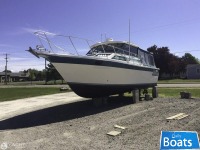 Baha Cruisers 310 Sportfisherman