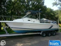 Cobia 260 Wa