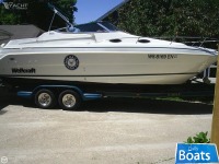 Wellcraft 260Se