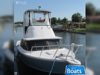 Bertram 31 Sf