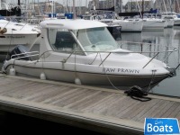 Sessa Dorado 20