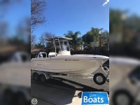 Robalo 20