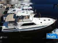 Ocean Yacht 55