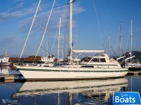 Ancasta Surprise 58