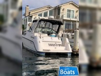Chaparral 29