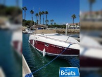 Rinker 25