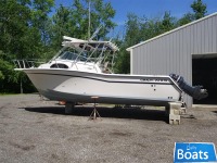 Grady White 300 Marlin