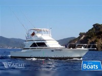 Bertram Yacht 43 Convertible