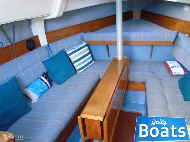 Kupiti 1991 Hunter Hunter27