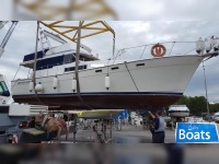 Bayliner