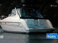 Maxum 41 Scr