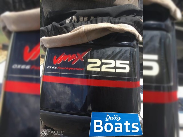 2006 Skeeter 20 for sale
