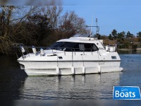 Birchwood TS31