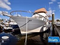Albin 43 Sundeck