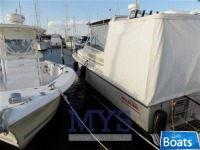 Boston Whaler 31