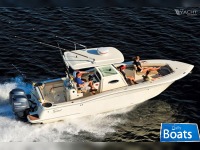 Scout Boat 275