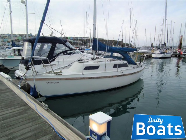 1989 Tomahawk 25 kaufen