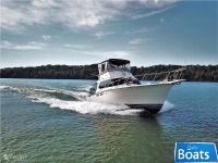 Pace 40 Sport Fisherman