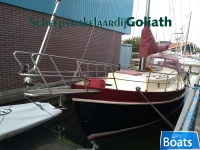 Danish Rose 33