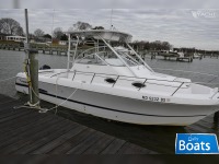 Pro-Line 30 sport WA