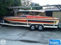 Lazer Day Cruiser