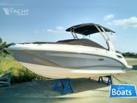 Sea Ray 250 Sundeck