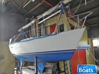 Carter Dingbat 25 (Refit 2002)