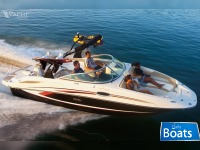 Sea Ray 260 Sundeck