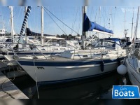 Malo Yachts 36