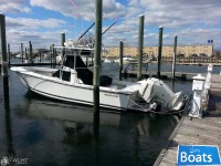 Regulator Marine 26