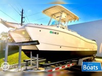 World Cat 22