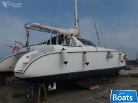 Lady Hawke LH 33