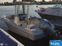 Barracuda 18