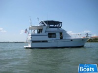 TransWorld Trawler