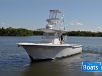 Ocean Master 34