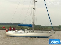 GECKO MARIN GECKO 39