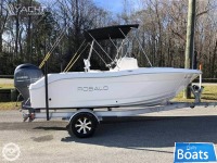 Robalo 18