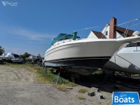 Wellcraft 3600 Martinique