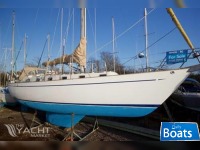 Rival Rival Bowman 40