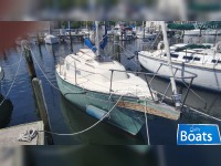 Bayfield Zby 25