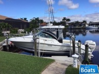 Hydra-Sports 2900 VX