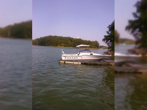 1998 Bayliner Trophy