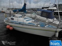 Eygthene 24
