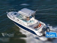 Robalo R 305