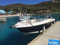 Robalo R247DC