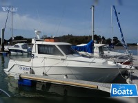 RODMAN870