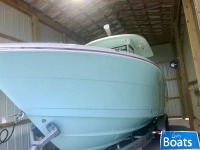 Robalo R302