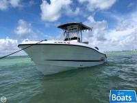 Hydra-Sports 23